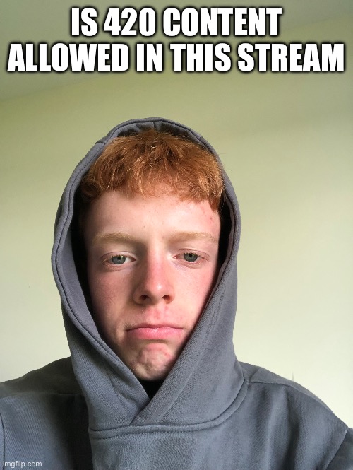 IS 420 CONTENT ALLOWED IN THIS STREAM | made w/ Imgflip meme maker