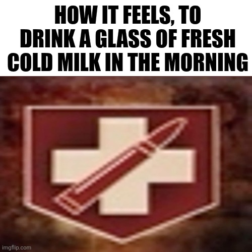 Juggernog my beloved | HOW IT FEELS, TO DRINK A GLASS OF FRESH COLD MILK IN THE MORNING | image tagged in blank,call of duty,black ops,gaming | made w/ Imgflip meme maker