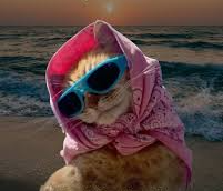 on trip Blank Meme Template