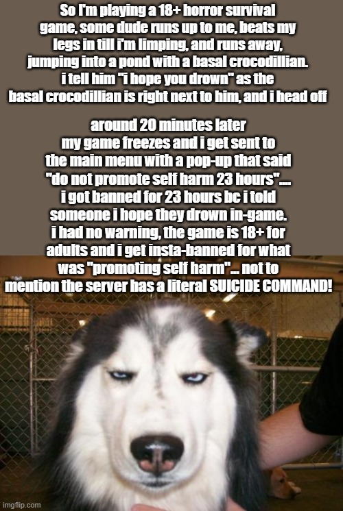 The Isle community servers | So I'm playing a 18+ horror survival game, some dude runs up to me, beats my legs in till i'm limping, and runs away, jumping into a pond with a basal crocodillian. i tell him "i hope you drown" as the basal crocodillian is right next to him, and i head off; around 20 minutes later my game freezes and i get sent to the main menu with a pop-up that said "do not promote self harm 23 hours".... i got banned for 23 hours bc i told someone i hope they drown in-game. i had no warning, the game is 18+ for adults and i get insta-banned for what was "promoting self harm"... not to mention the server has a literal SUICIDE COMMAND! | image tagged in smh,theisle,dinosaurs,gaming,survival,horror | made w/ Imgflip meme maker