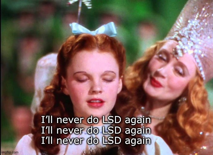 Dorothy | I’ll never do LSD again
I’ll never do LSD again
I’ll never do LSD again | image tagged in there's no place like home | made w/ Imgflip meme maker
