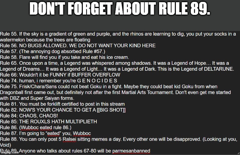 Rule 89 talks about a serious topic, please, please don't break it. | DON'T FORGET ABOUT RULE 89. | made w/ Imgflip meme maker