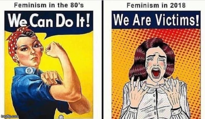 Nah y’all victors not victims | image tagged in feminism,conservatives,america | made w/ Imgflip meme maker