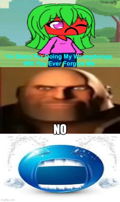 Me Ruining A Fill In Meme #292 | NO | image tagged in ruin this fill in meme 292 | made w/ Imgflip meme maker