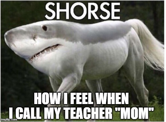 Shorse | HOW I FEEL WHEN I CALL MY TEACHER "MOM" | image tagged in shorse,childhood | made w/ Imgflip meme maker