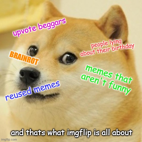 Doge | upvote beggars; people lying about their birthday; BRAINROT; memes that aren't funny; reused memes; and thats what imgflip is all about | image tagged in memes,doge | made w/ Imgflip meme maker