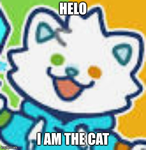 mewo cat | HELO; I AM THE CAT | image tagged in mewo cat | made w/ Imgflip meme maker