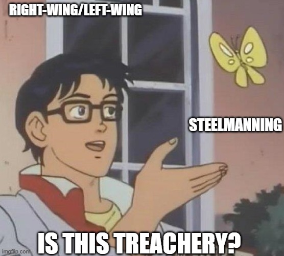 is this butterfly | RIGHT-WING/LEFT-WING; STEELMANNING; IS THIS TREACHERY? | image tagged in is this butterfly | made w/ Imgflip meme maker