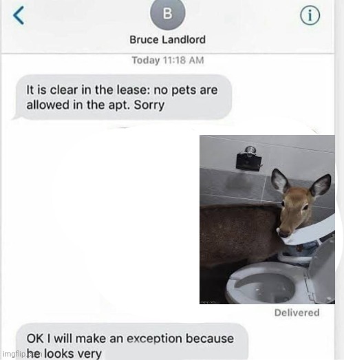 your pet look very polite | image tagged in your pet look very polite | made w/ Imgflip meme maker