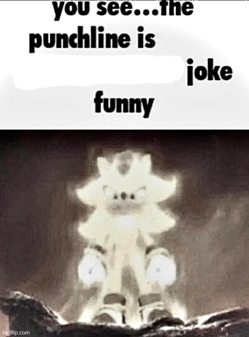joke | image tagged in shadow explains the joke | made w/ Imgflip meme maker