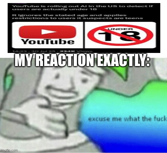 ... | MY REACTION EXACTLY: | image tagged in excuse me wtf blank template,fallout,youtube | made w/ Imgflip meme maker