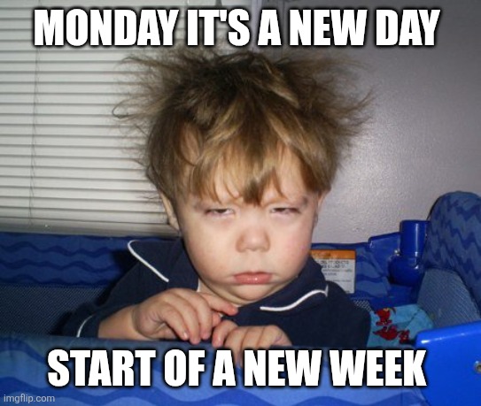 Monday | MONDAY IT'S A NEW DAY; START OF A NEW WEEK | image tagged in monday mornings,funny memes | made w/ Imgflip meme maker