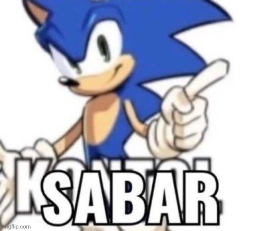 Hey Guys can you help me translate this Sonic picture? | made w/ Imgflip meme maker