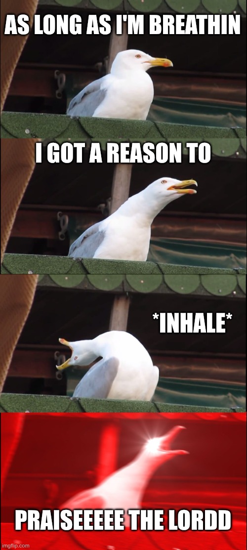 PRAISE THE LORDD | AS LONG AS I'M BREATHIN; I GOT A REASON TO; *INHALE*; PRAISEEEEE THE LORDD | image tagged in memes,inhaling seagull | made w/ Imgflip meme maker