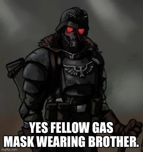 Krieg grenadier | YES FELLOW GAS MASK WEARING BROTHER. | image tagged in krieg grenadier | made w/ Imgflip meme maker