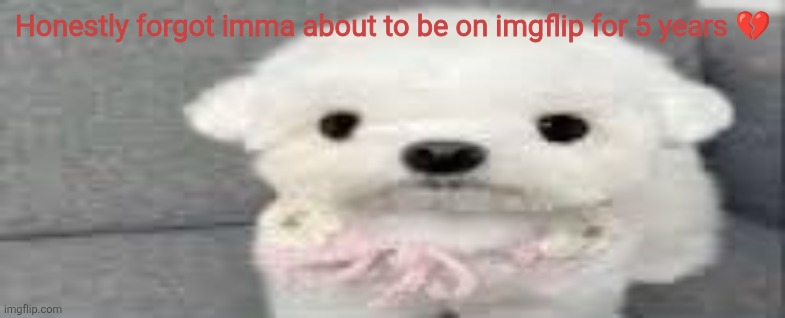 Dog stating | Honestly forgot imma about to be on imgflip for 5 years 💔 | image tagged in dog stating | made w/ Imgflip meme maker