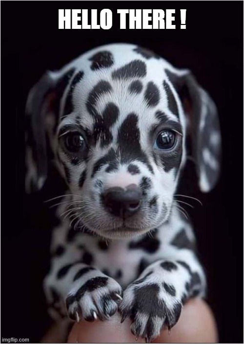 Just 'Aww' ! | HELLO THERE ! | image tagged in dogs,puppy,dalmatian,hello there | made w/ Imgflip meme maker