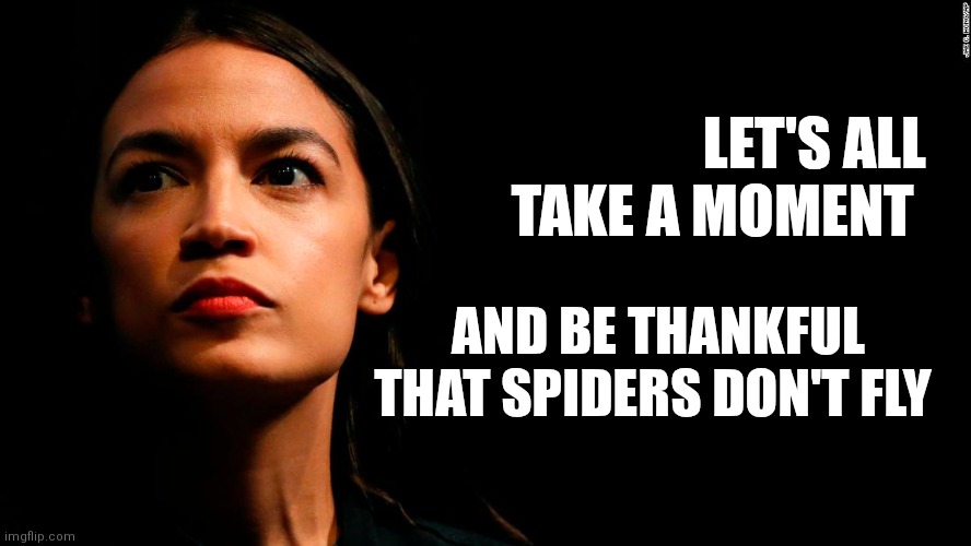 Spiders don't fly | LET'S ALL TAKE A MOMENT; AND BE THANKFUL THAT SPIDERS DON'T FLY | image tagged in ocasio-cortez super genius,funny memes | made w/ Imgflip meme maker