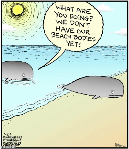 Free Range | image tagged in comics | made w/ Imgflip meme maker