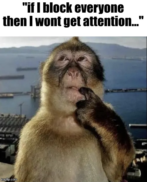 monkey thinking | "if I block everyone then I wont get attention..." | image tagged in monkey thinking | made w/ Imgflip meme maker
