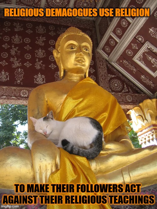 This #lolcat wonders why the people act against their religious teachings | RELIGIOUS DEMAGOGUES USE RELIGION; TO MAKE THEIR FOLLOWERS ACT 
AGAINST THEIR RELIGIOUS TEACHINGS | image tagged in religion,religious,conservative hypocrisy,lolcat | made w/ Imgflip meme maker