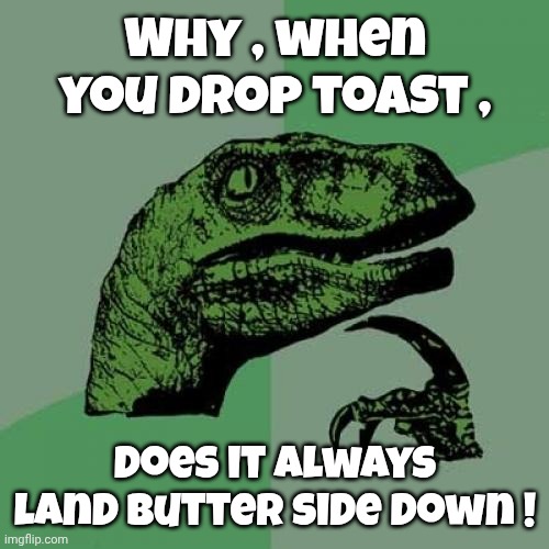 Philosoraptor Meme | Why , when you drop toast , does it always land butter side down ! | image tagged in memes,philosoraptor | made w/ Imgflip meme maker