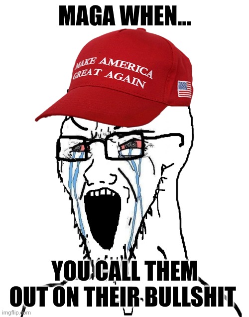 Crying MAGA wojak | MAGA WHEN... YOU CALL THEM OUT ON THEIR BULLSHIT | image tagged in crying maga wojak | made w/ Imgflip meme maker
