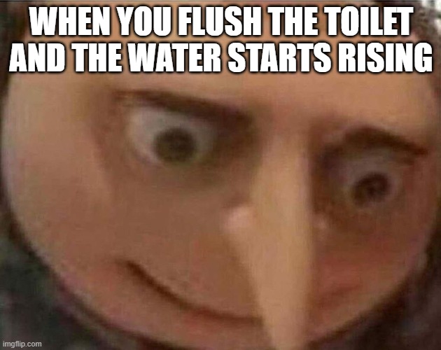 tell me when this happens | WHEN YOU FLUSH THE TOILET AND THE WATER STARTS RISING | image tagged in gru meme,mountain of toilet paper | made w/ Imgflip meme maker