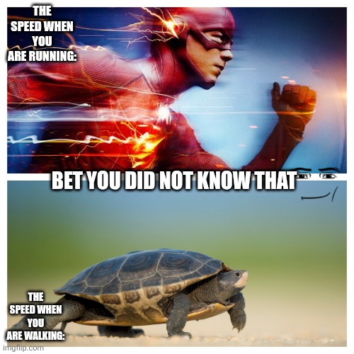 You did not know this | THE SPEED WHEN YOU ARE RUNNING:; BET YOU DID NOT KNOW THAT; THE SPEED WHEN YOU ARE WALKING: | image tagged in fast vs slow | made w/ Imgflip meme maker