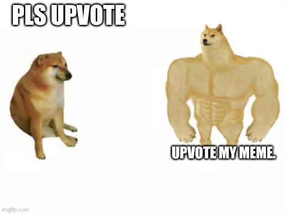 buff doge vs cheems reversed | PLS UPVOTE; UPVOTE MY MEME. | image tagged in buff doge vs cheems reversed | made w/ Imgflip meme maker