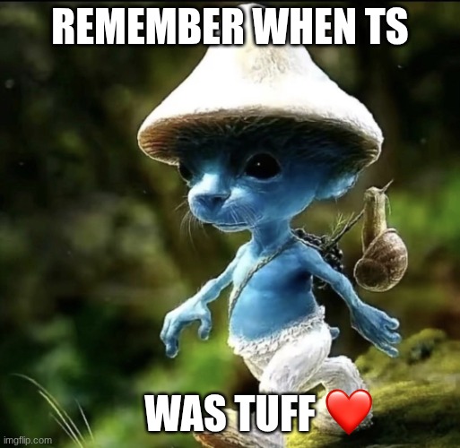 Ts way better than 67 fight me if you disagree | REMEMBER WHEN TS; WAS TUFF | image tagged in blue smurf cat | made w/ Imgflip meme maker