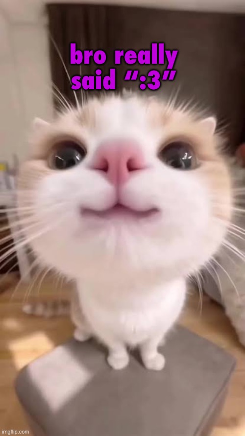gatito | bro really said “:3” | image tagged in gatito | made w/ Imgflip meme maker