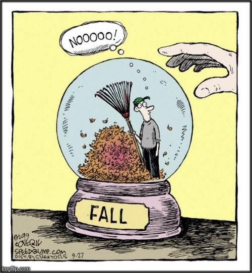 Speed Bump | image tagged in comics,fall,globe,leaves,speed bump | made w/ Imgflip meme maker