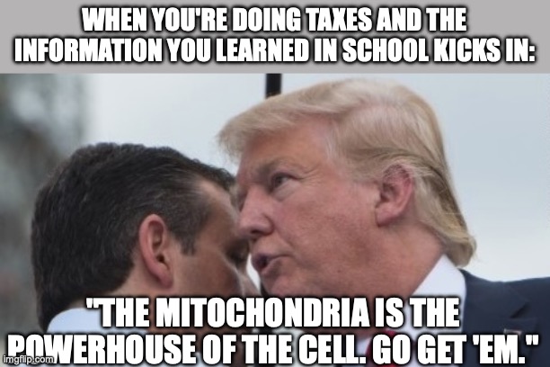 Tell Me You're American Without Telling Me You're American | WHEN YOU'RE DOING TAXES AND THE INFORMATION YOU LEARNED IN SCHOOL KICKS IN:; "THE MITOCHONDRIA IS THE POWERHOUSE OF THE CELL. GO GET 'EM." | image tagged in hail hydra,school,taxes,america | made w/ Imgflip meme maker