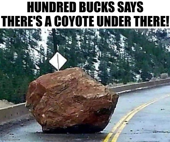 Hundred Bucks Says There's A Coyote Under There! | HUNDRED BUCKS SAYS THERE'S A COYOTE UNDER THERE! | image tagged in chrisjoines1 | made w/ Imgflip meme maker