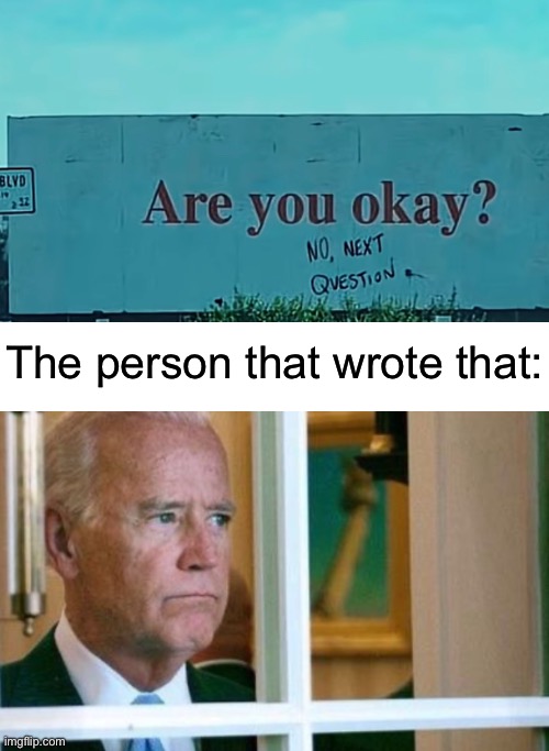 vandalizers haz feeling too | The person that wrote that: | image tagged in sad joe biden,funny,memes,vandalism | made w/ Imgflip meme maker