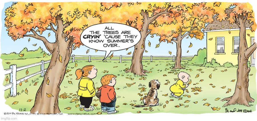 Family Circus | image tagged in comics,family circus,fall,leaves,crying,summers over | made w/ Imgflip meme maker