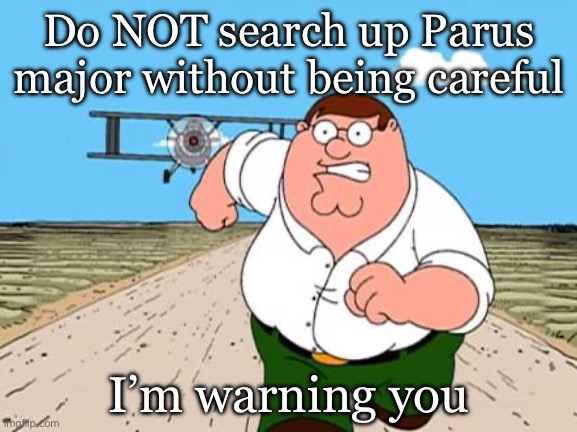 Animal names for some reason | Do NOT search up Parus major without being careful; I’m warning you | image tagged in peter griffin running away for a plane | made w/ Imgflip meme maker