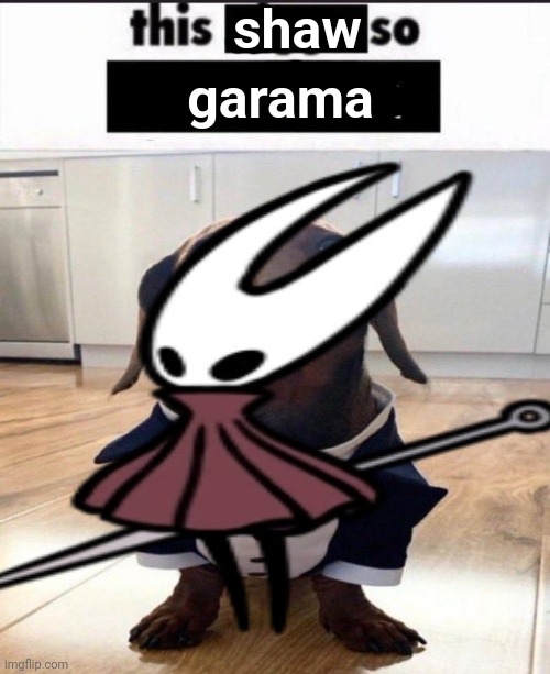 this shaw so garama | shaw; garama | image tagged in this fellow is so foolish | made w/ Imgflip meme maker