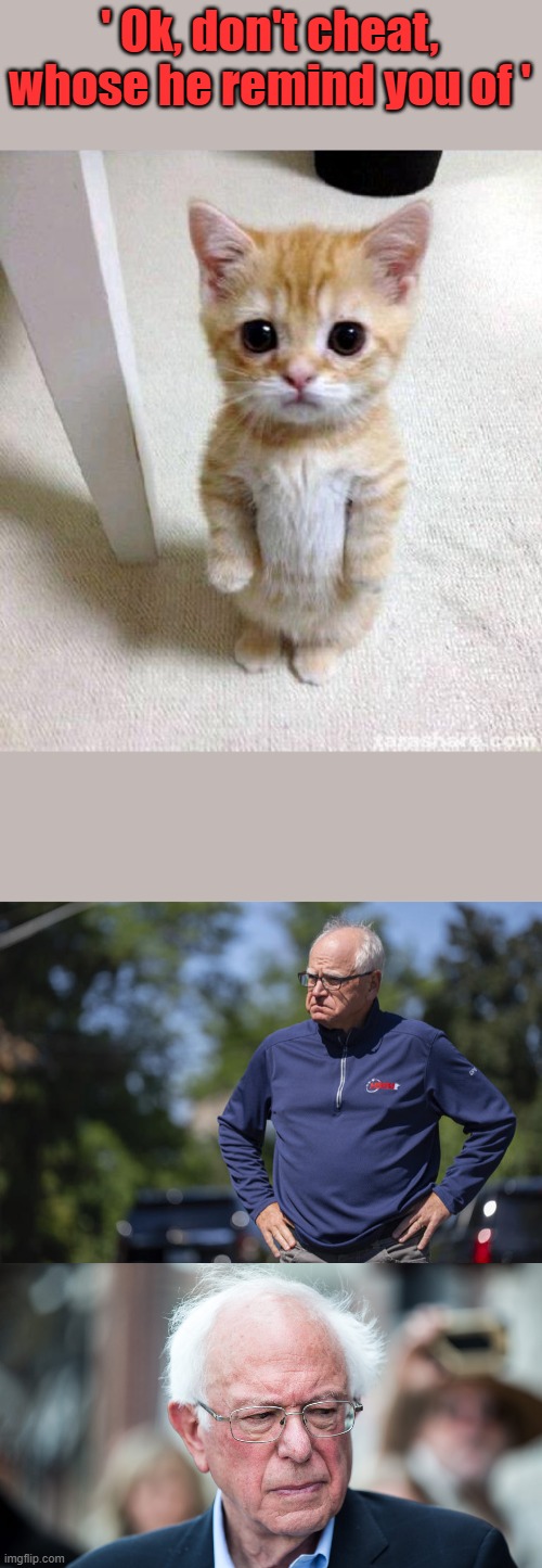 Two socialist peas in a pod nut cases. | ' Ok, don't cheat, whose he remind you of ' | image tagged in memes,cute cat | made w/ Imgflip meme maker