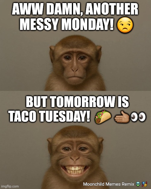 Monday Blues Taco Tuesday | AWW DAMN, ANOTHER 
MESSY MONDAY! 😒; BUT TOMORROW IS TACO TUESDAY!  🌮 🫲🏽👀; Moonchild Memes Remix 👽 🎭 | image tagged in monkey business | made w/ Imgflip meme maker
