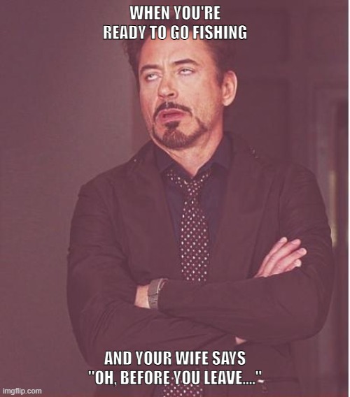 Wife says | WHEN YOU'RE READY TO GO FISHING; AND YOUR WIFE SAYS "OH, BEFORE YOU LEAVE...." | image tagged in memes,face you make robert downey jr | made w/ Imgflip meme maker