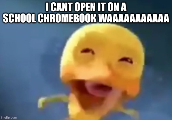 crying duck | I CANT OPEN IT ON A SCHOOL CHROMEBOOK WAAAAAAAAAAA | image tagged in crying duck | made w/ Imgflip meme maker