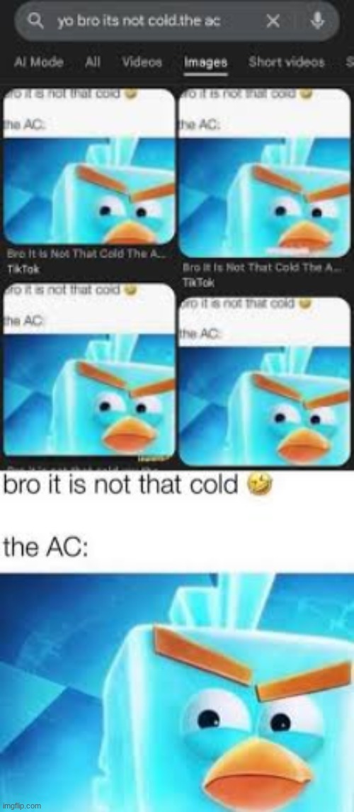 bro it is not that cold | image tagged in the ac | made w/ Imgflip meme maker