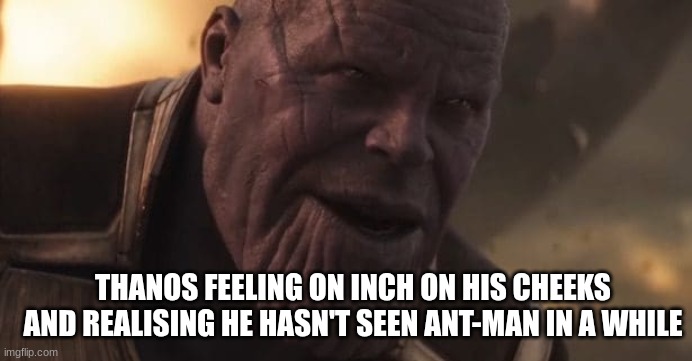 oh nsh | THANOS FEELING ON INCH ON HIS CHEEKS AND REALISING HE HASN'T SEEN ANT-MAN IN A WHILE | image tagged in thanos all that for a drop of blood | made w/ Imgflip meme maker
