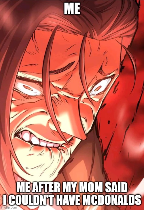WHY NOT?! | ME; ME AFTER MY MOM SAID I COULDN'T HAVE MCDONALDS | image tagged in memes,fun,funny,the greatest estate developer,anime | made w/ Imgflip meme maker