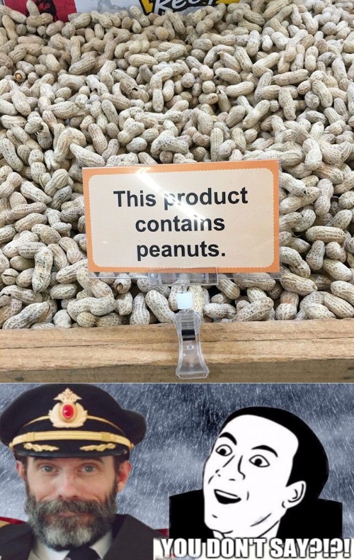 Wow Really | image tagged in you don't say,captain obvious,peanuts,sarcasm,never go full retard,duhhh dumbass | made w/ Imgflip meme maker