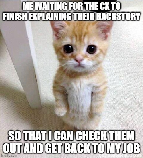 how work be rn | ME WAITING FOR THE CX TO FINISH EXPLAINING THEIR BACKSTORY; SO THAT I CAN CHECK THEM OUT AND GET BACK TO MY JOB | image tagged in memes,cute cat | made w/ Imgflip meme maker