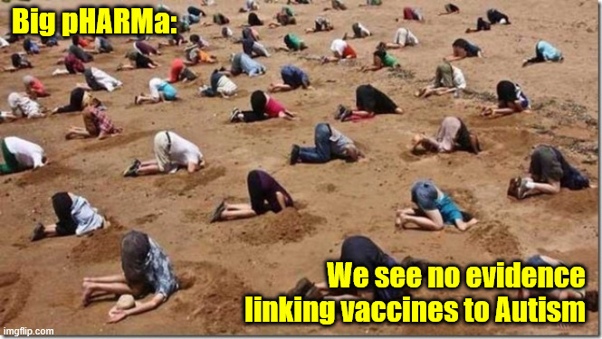 Head in sand | Big pHARMa:; We see no evidence linking vaccines to Autism | image tagged in head in sand | made w/ Imgflip meme maker