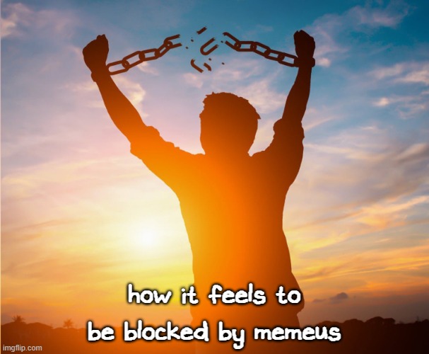 let's celebrate in an objection.lol https://objection.lol/courtroom/BALLIN | how it feels to be blocked by memeus | image tagged in man breaking free from chains over the sunset | made w/ Imgflip meme maker